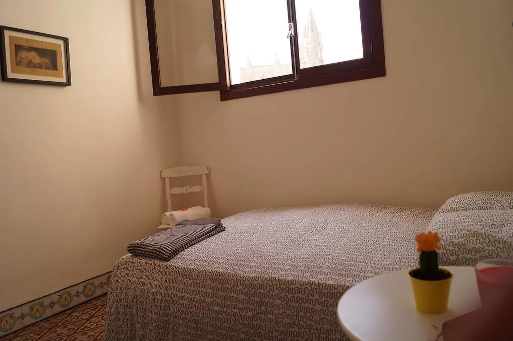 Hostel Pura Vida - Albergue Juvenil Palma de Mallorca